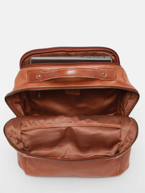 Backpack Basilic pepper Brown traveler BTRA10 other view 3