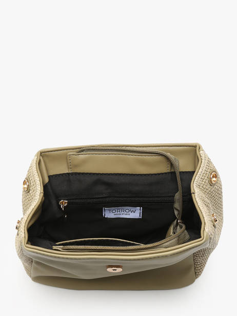 Backpack Torrow Green nice TNIC03 other view 3