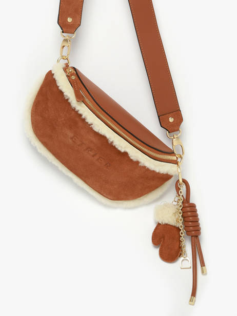 Belt Bag Etrier Brown alpin EALP022M other view 1