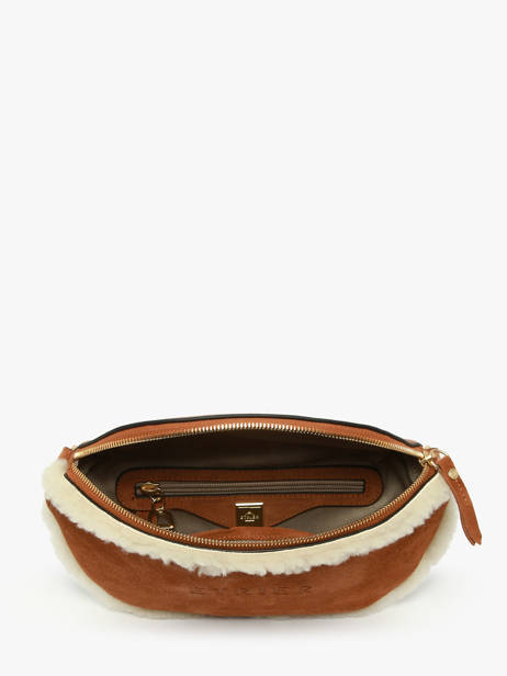 Belt Bag Etrier Brown alpin EALP022M other view 2