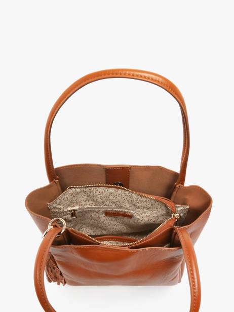 Sac Porté épaule Helena Cuir Francinel Marron helena 22945 vue secondaire 3